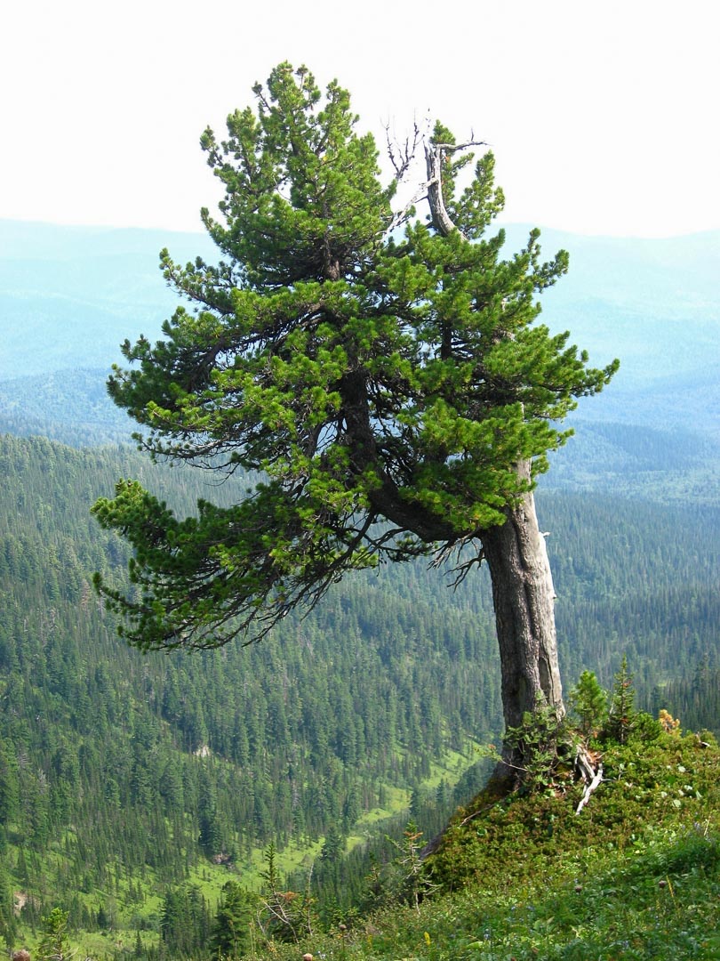 61fa6c17b5364 bp cover image