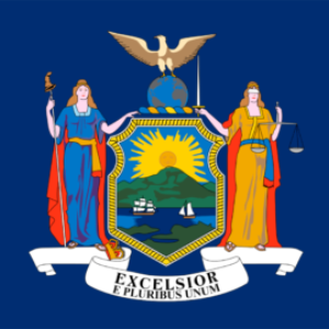 Group logo of New York Regional Group